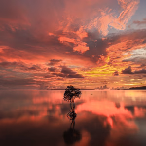 波照間島最南端