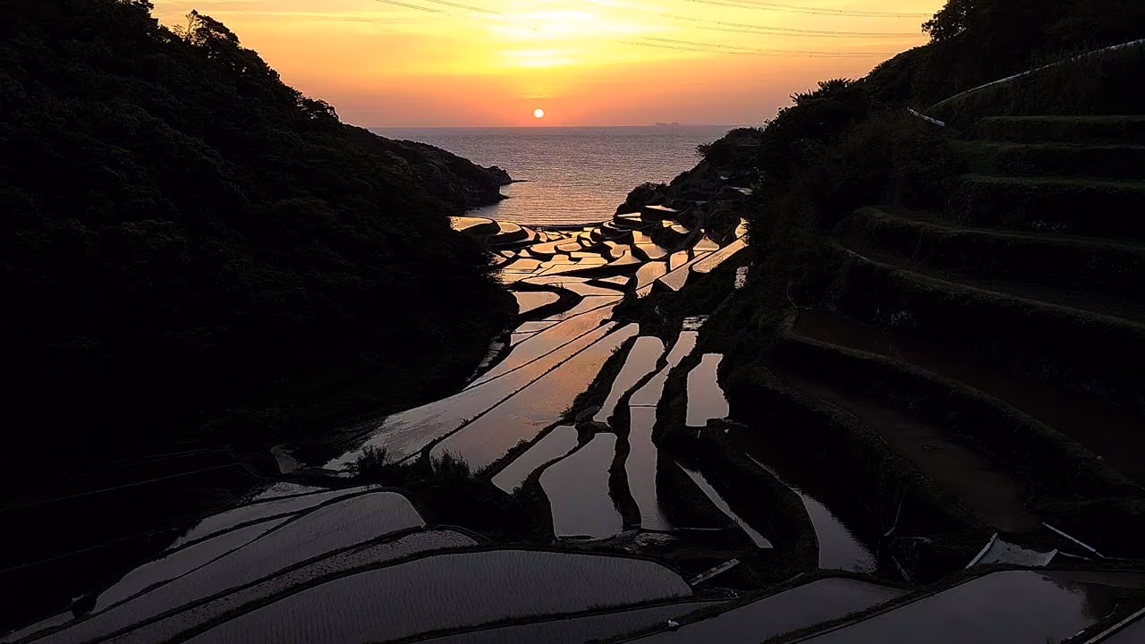 濱野浦梯田