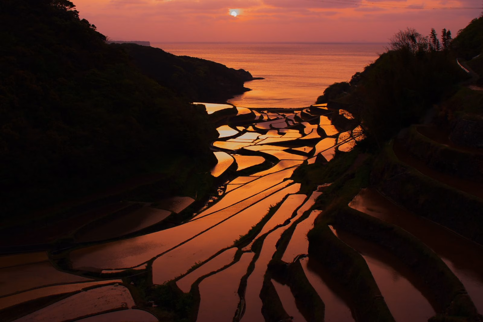 濱野浦梯田