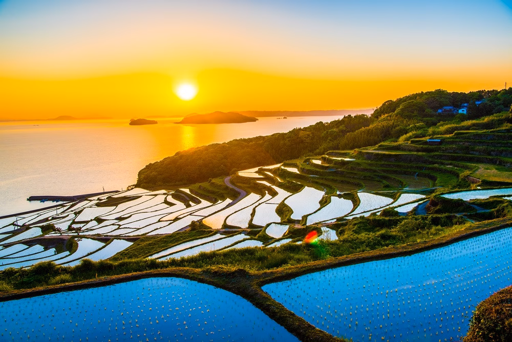 濱野浦梯田