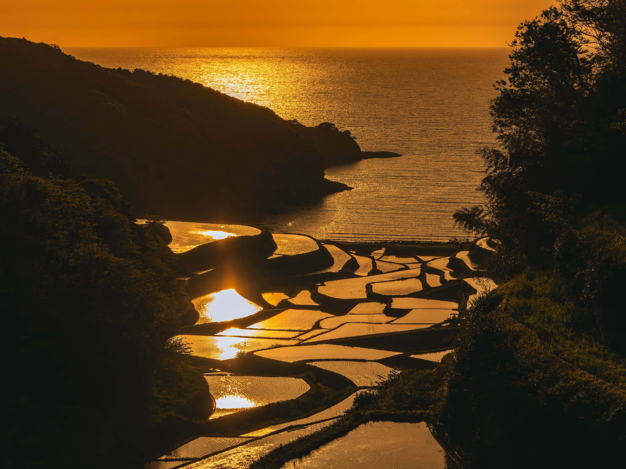 濱野浦梯田