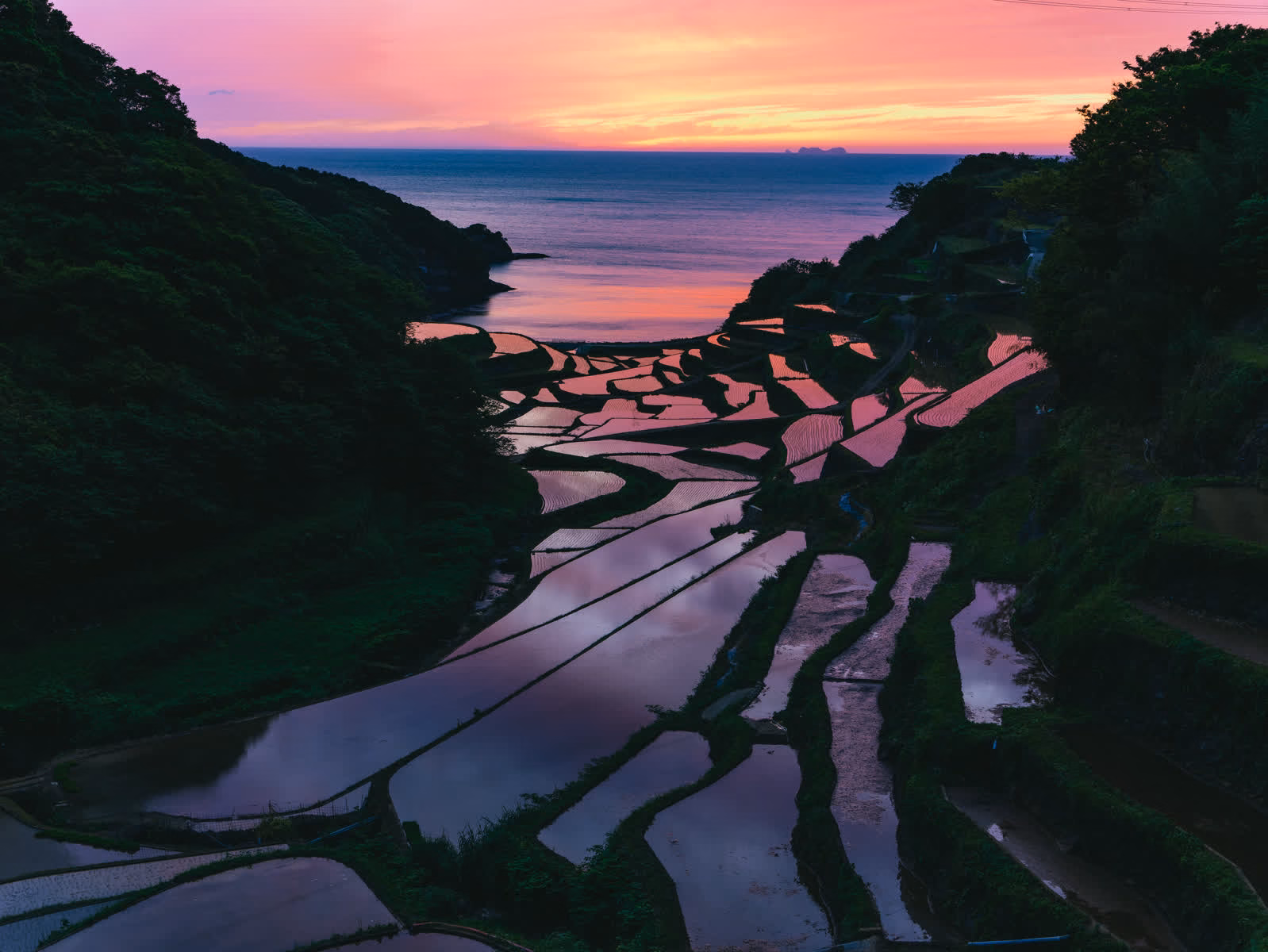 濱野浦梯田