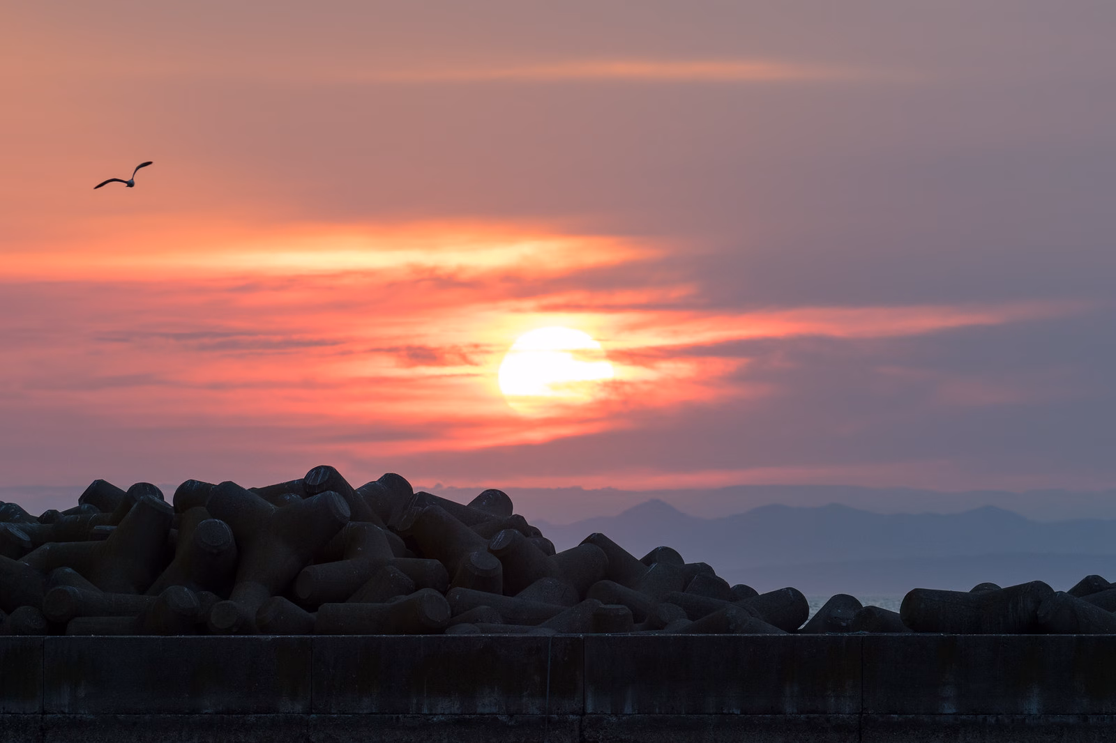 飛島